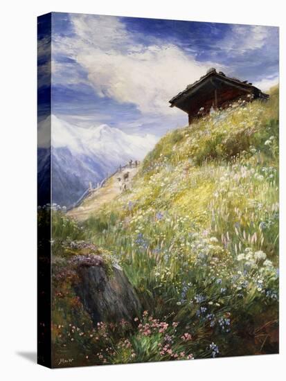 An Alpine Meadow, Switzerland-John MacWhirter-Premier Image Canvas