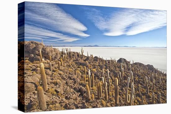 An Amazing View from the Top of the Isla Incahuasi, Salar De Uyuni, Bolivia, South America-Roberto Moiola-Premier Image Canvas