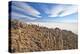 An Amazing View from the Top of the Isla Incahuasi, Salar De Uyuni, Bolivia, South America-Roberto Moiola-Premier Image Canvas