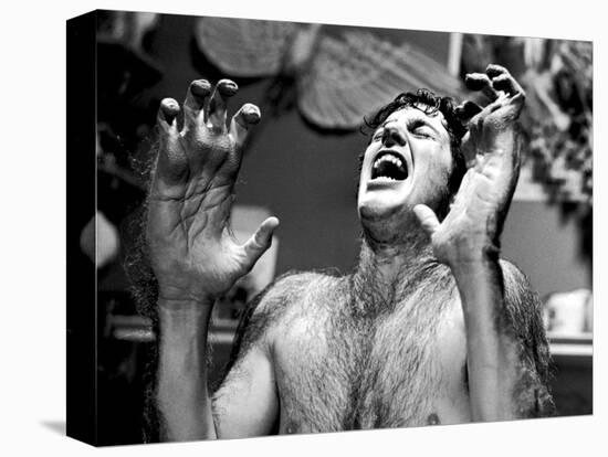 An American Werewolf in London-null-Stretched Canvas