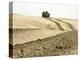 An Amphibious Assault Vehicle Rolls Through a Desert Field North of Fallujah-Stocktrek Images-Premier Image Canvas