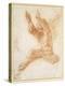 An Angel-Raphael-Premier Image Canvas