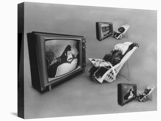 An Ape Participating in a Study of Ape Addiction to Tv-Yale Joel-Premier Image Canvas