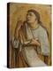 An Apostle, c.1471-73-Carlo Crivelli-Premier Image Canvas