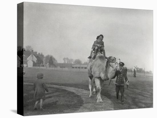 An Arabian Camel Taking a Pair of Children for a Ride at Zsl Whipsnade, March 1932-Frederick William Bond-Premier Image Canvas