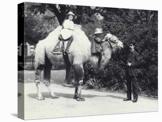 An Arabian Camel with Keeper Being Ridden by Two Children-Frederick William Bond-Premier Image Canvas