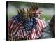 An Army Soldier's Backpack Overflows with Small American Flags-Stocktrek Images-Premier Image Canvas