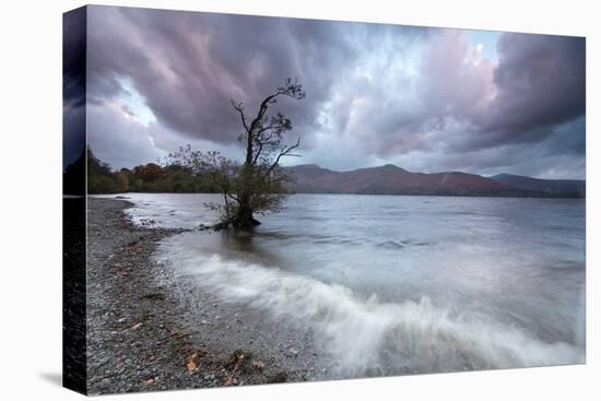 An Autumn Scene by a Lake in the Lake District at Cumbria, England-Alex Saberi-Premier Image Canvas