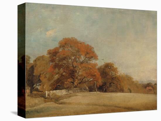 An Autumnal Landscape at East Bergholt, c.1805-08-John Constable-Premier Image Canvas