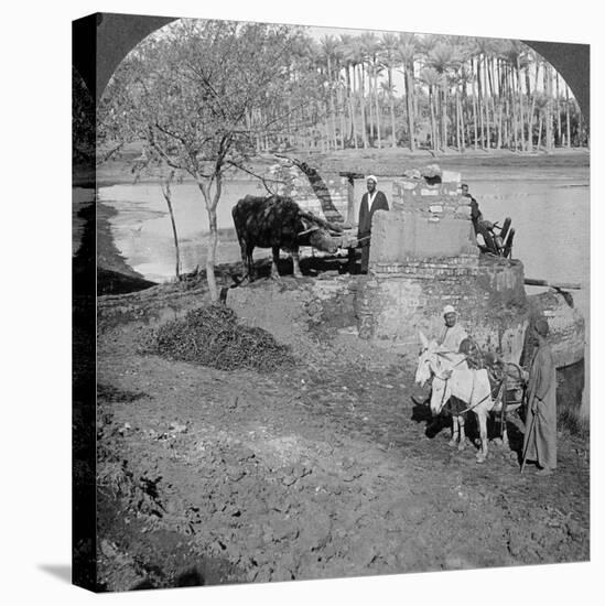 An Egyptian Sakieh, or Ox-Driven Bucket Pump, Egypt, 1905-Underwood & Underwood-Premier Image Canvas