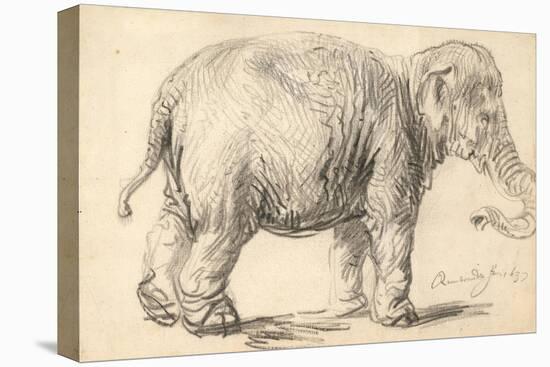 An Elephant, 1637-Rembrandt Harmensz. van Rijn-Premier Image Canvas