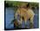 An Elephant and Her Calf Cross a River-null-Premier Image Canvas