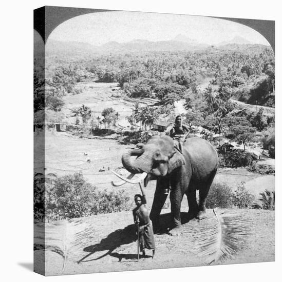 An Elephant and its Keeper, Sri Lanka, 1902-Underwood & Underwood-Premier Image Canvas