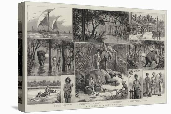 An Elephant Hunt in Ceylon-null-Premier Image Canvas