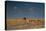 An Elephant, Loxodonta Africana, and Zebras in Grassland at Sunset-Alex Saberi-Premier Image Canvas