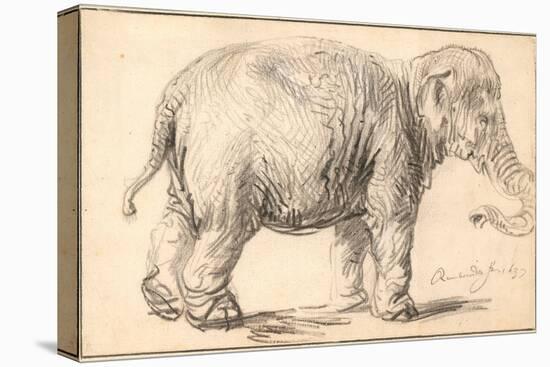 An Elephant-Rembrandt van Rijn-Premier Image Canvas