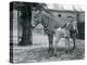 An Endangered Grevy's/Imperial Zebra, Standing with Her 4 Day Old Foal, in their Paddock at London-Frederick William Bond-Premier Image Canvas