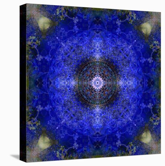 An Energetic Symmetric Onament from Flower Photographs-Alaya Gadeh-Premier Image Canvas