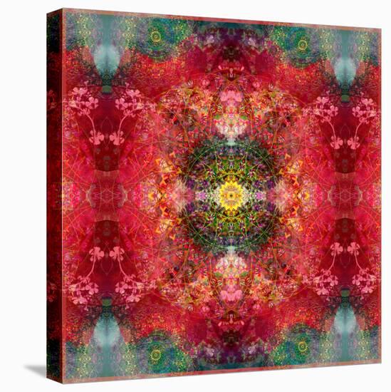 An Energetic Symmetric Onament from Flower Photographs-Alaya Gadeh-Premier Image Canvas