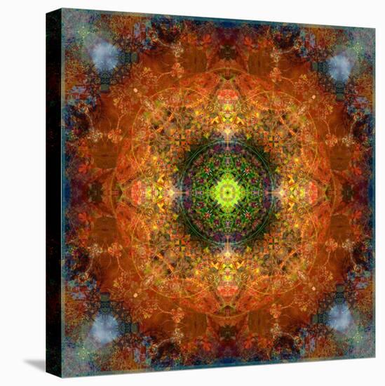 An Energetic Symmetric Onament from Flower Photographs-Alaya Gadeh-Premier Image Canvas