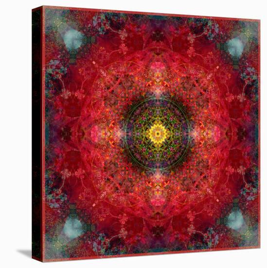 An Energetic Symmetric Onament from Flower Photographs-Alaya Gadeh-Premier Image Canvas