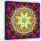 An Energetic Symmetric Onament from Flower Photographs-Alaya Gadeh-Premier Image Canvas