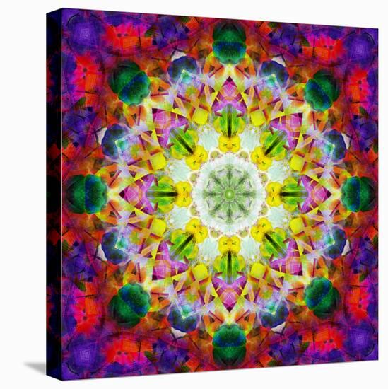 An Energetic Symmetric Onament from Flower Photographs-Alaya Gadeh-Premier Image Canvas