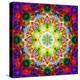 An Energetic Symmetric Onament from Flower Photographs-Alaya Gadeh-Premier Image Canvas