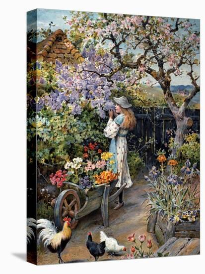 An English Cottage Garden-William Stephen Coleman-Premier Image Canvas