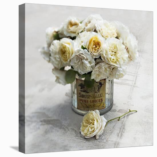 An English Rose-Valda Bailey-Premier Image Canvas