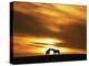 An Equine Kiss-Adrian Campfield-Premier Image Canvas