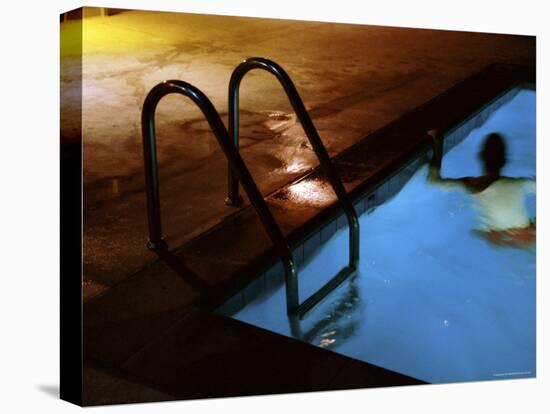 An Evening Swim-null-Premier Image Canvas