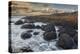 An evening view of the Giant's Causeway, UNESCO World Heritage Site, County Antrim, Ulster, Norther-Nigel Hicks-Premier Image Canvas