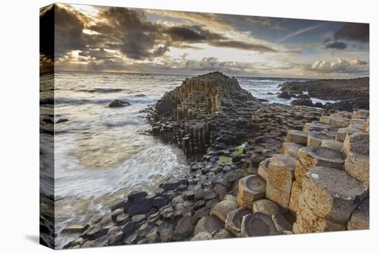 An evening view of the Giant's Causeway, UNESCO World Heritage Site, County Antrim, Ulster, Norther-Nigel Hicks-Premier Image Canvas