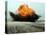 An Explosion Erupts from the Detonation of a Weapons Cache-Stocktrek Images-Premier Image Canvas
