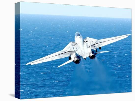 An F-14D Tomcat Taking Off-Stocktrek Images-Premier Image Canvas