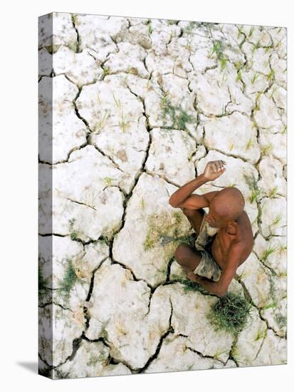 An Indian Farmer Sits in His Dried up Field in Hanumanganj, India-null-Premier Image Canvas