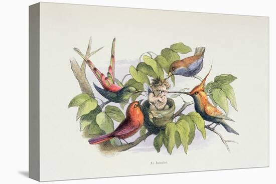 An Intruder, Illustration from 'In Fairyland: A Series of Pictures from the Elf-World' by William A-Richard Doyle-Premier Image Canvas