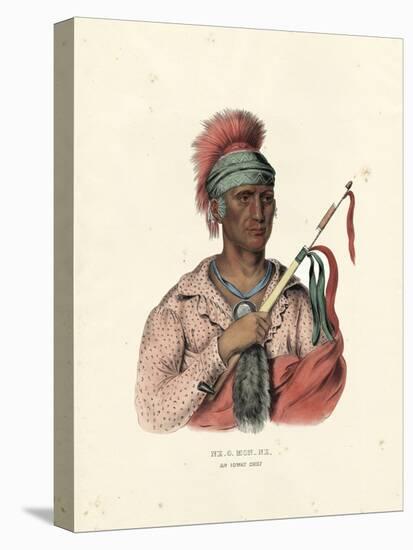 An Ioway Chief-McKenney & Hall-Stretched Canvas