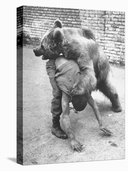 An Iranian Performace of a Man Wrestling a Bear in Public-Dmitri Kessel-Premier Image Canvas