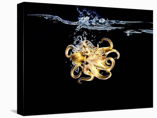 An Octopus in Water-Hermann Mock-Premier Image Canvas