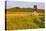 An Old Farm Building in a Field Next to the Mars Hill Wind Farm in Mars Hill, Maine-Jerry and Marcy Monkman-Premier Image Canvas