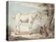 An Old Grey Horse Tethered to a Tree, a Boy Resting Nearby-Paul Sandby-Premier Image Canvas