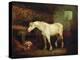 An Old Grey Mare at a Manger-George Morland-Premier Image Canvas