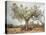An Old Olive Tree-Roland Andrijauskas-Premier Image Canvas