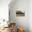 An Old Wooden Barn in a Cotton Field in South Georgia, USA-Joanne Wells-Premier Image Canvas displayed on a wall