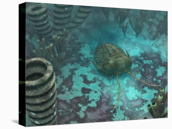 An Olenoides Trilobite Scurries across a Middle Cambrian Ocean Floor-Stocktrek Images-Premier Image Canvas