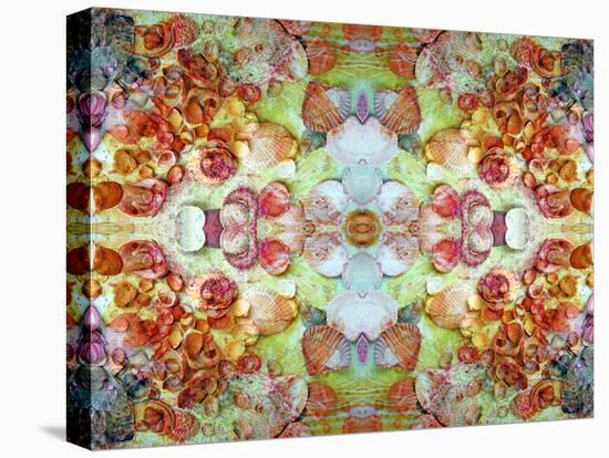 An Ornamental Symmetric Montage from Flowers and Seashells-Alaya Gadeh-Premier Image Canvas