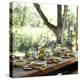 An Outdoor Table Setting with a Vegetarian Meal-Renée Comet-Premier Image Canvas