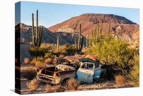 An rusted out car in the Sonoran Desert, Baja California, Mexico-Mark A Johnson-Premier Image Canvas